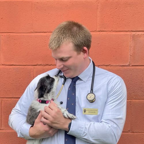 Dr. Ryan Kass, Cumming Veterinarian